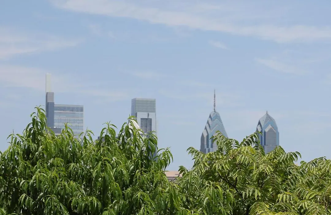 Peaceful Zen Getaway In The City-1