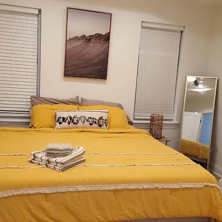 Brand New Home In South Philly!!!-2