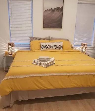 Brand New Home In South Philly!!!-3