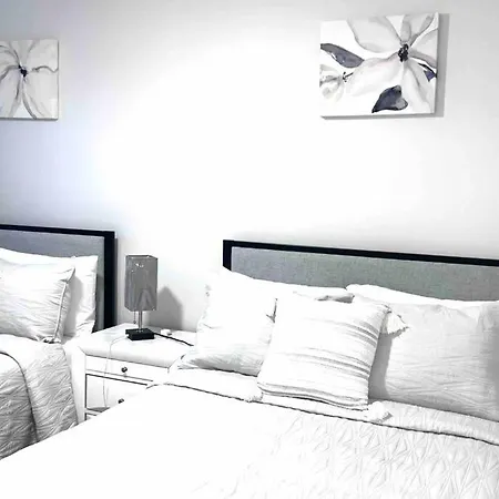 Comfort And Style-2