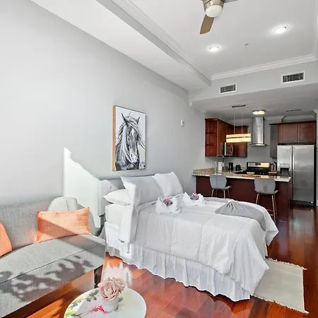 Xl Studio - Studio With Pool & Scenic Rooftop-3