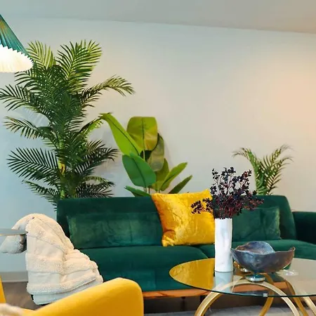 Tropical Horizons-King Bd Rooftop-3