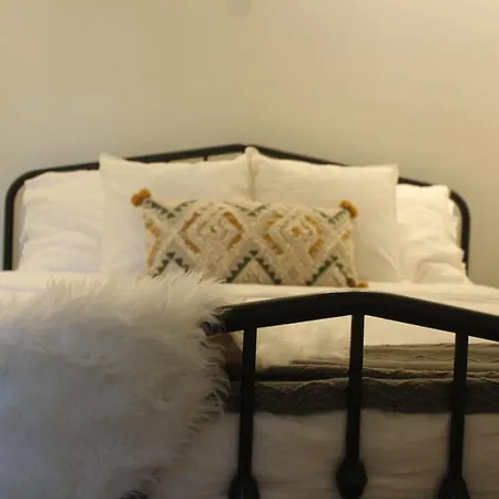 Accentuated Apartment In Manayunk-2